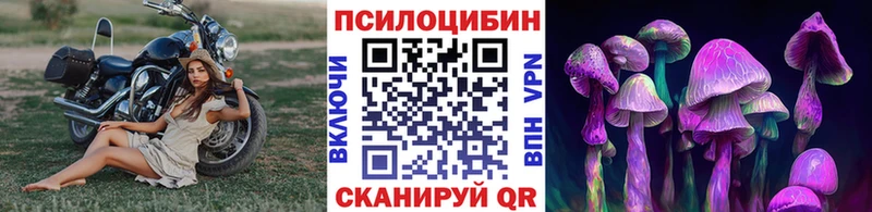 Псилоцибиновые грибы Cubensis  мега сайт  Полесск 
